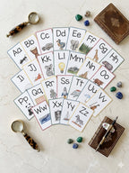 Bundle - Reading Books and Flashcards
