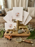 Bundle - Reading Books and Flashcards